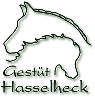 Logo Gestüt Hasselheck