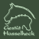 (c) Hasselheck.de